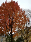20181114 121644