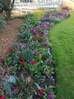 IMG-20190327-WA0000 (12 visites) IMG-20190327-WA0000