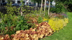 IMG-20190509-WA0003
