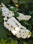 IMG-20190704-WA0029