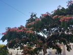 IMG-20190713-WA0002