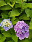 IMG-20190719-WA0000