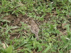 Pict0120