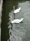 Pict0130