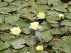Pict0134