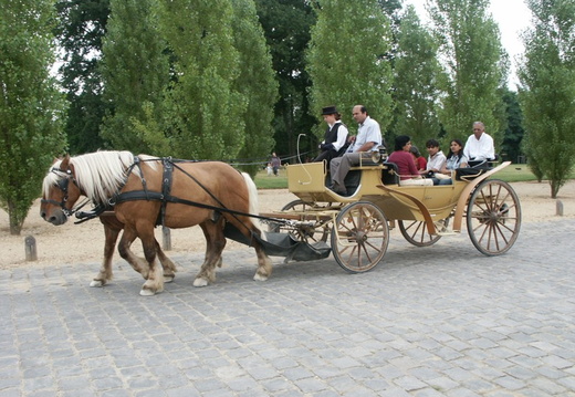 Pict0159