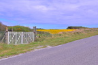 dsc 7551