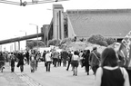 dsc 0996