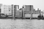 dsc 7096