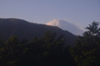 dsc 7495