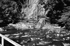 dsc 7544