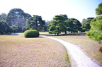 dsc 7864