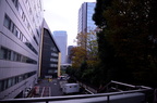 dsc 6572