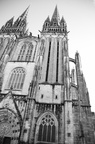 dsc 0824
