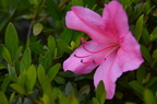 dsc 3408