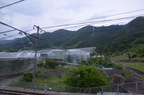dsc 3416