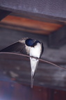 dsc 3571