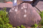 dsc 3595