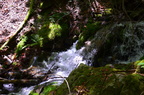 dsc 3700