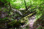dsc 3720