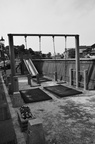 dsc 3816