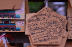 dsc 3949
