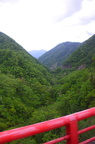 dsc 4077