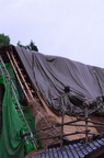 dsc 4154