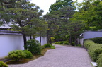 dsc 4336