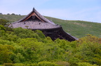 dsc 4348