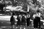 dsc 4588