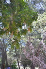 dsc 8178