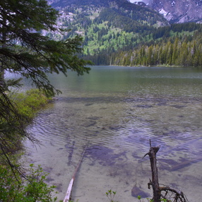 20190617 balade yellowstone