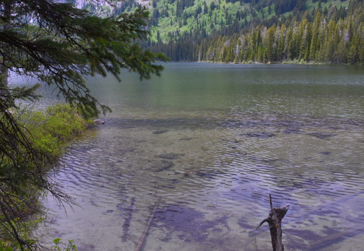 20190617 balade yellowstone
