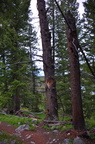 dsc 8360