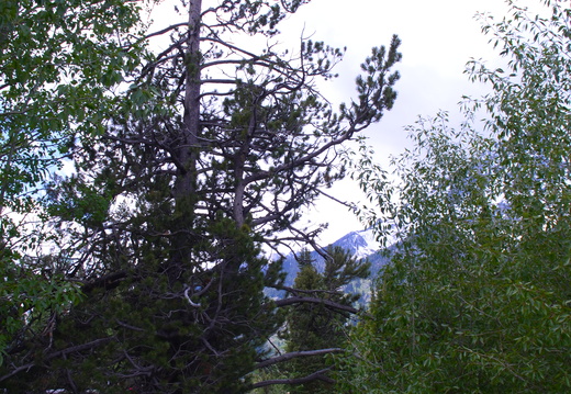 20190618 balade yellowstone