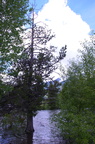 20190618 balade yellowstone