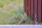 dsc 8505