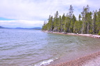 dsc 8650