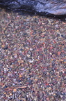 dsc 8655