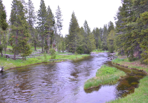 20190620 balade yellowstone
