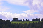 dsc 9074
